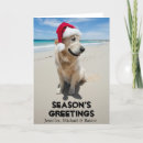 Search for beach seasonal cards Dog