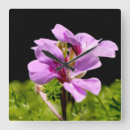 Search for lavender background art Violet