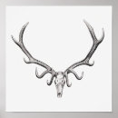 Search for animal skeletons posters Vintage