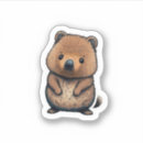 Search for quokka stickers Cute