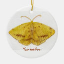 Search for entomology christmas tree decorations Butterfly