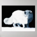 Search for black fox art Animals