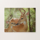 Search for deer antlers puzzles Fawn
