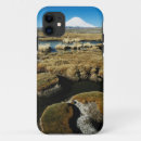 Search for chile iphone cases Superstock