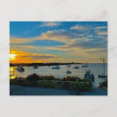 Search for australia day postcards Beach