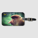 Search for primates accessories Wildlife