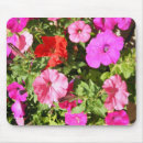 Search for petunia mousepads Pretty