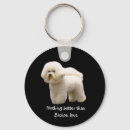 Search for bichon accessories Pets