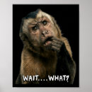 Search for funny monkey posters Adorable