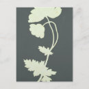 Search for otto postcards Flower