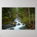 Search for long exposure art Forest
