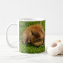 Search for lop rabbit mugs Pet