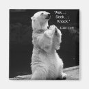 Search for knock knock magnets Inspiration