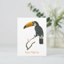 Search for animal designs postcards Bird