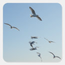 Search for seabird stickers Nature