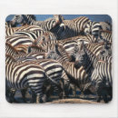 Search for african animals electronics Wildlife