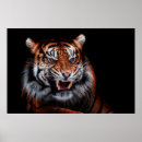 Search for sumatra posters Wildlife