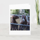 Search for together photography Animals