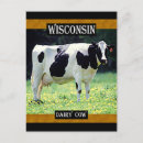 Search for dairy postcards Cow
