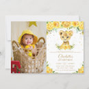 Search for lion cub invitations Whimsical