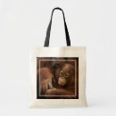 Search for orangutans bags Monkey