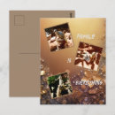 Search for sentry postcards Meerkats