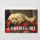 Search for naughty cats cards Nice