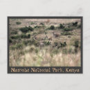 Search for nairobi postcards National park