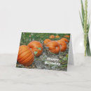 Search for pumpkin patch cards Farm