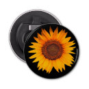 Search for magnetic bottle openers Party