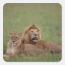 Search for lion love stickers Africa