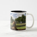 Search for marion mugs Florida