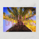 Search for plams postcards Summer