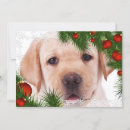 Search for yellow lab christmas cards Puppy