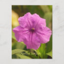 Search for simplex Flower