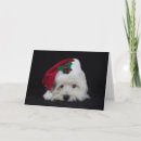 Search for westie christmas cards White