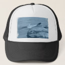 Search for diving baseball hats Dolphin
