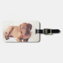 Search for hungarian accessories Animal
