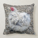 Search for frizzle Bantam