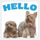 Search for yorkshire stickers Yorkie