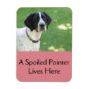 Search for pointer magnets German shorthaired pointer