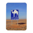 Search for camel magnets Sahara