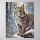 Search for lynx posters Winter