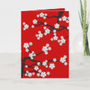 Search for white sakura cards Cherry blossoms
