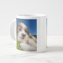 Search for shitzu mugs Pets