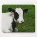 Search for holstein mousepads Field