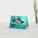 Search for black and white penguin postcards Wildlife