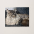 Search for maine coon cat puzzles Animal