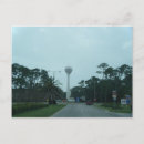 Search for dauphin postcards Island