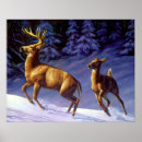 Search for buck and doe posters Winter
